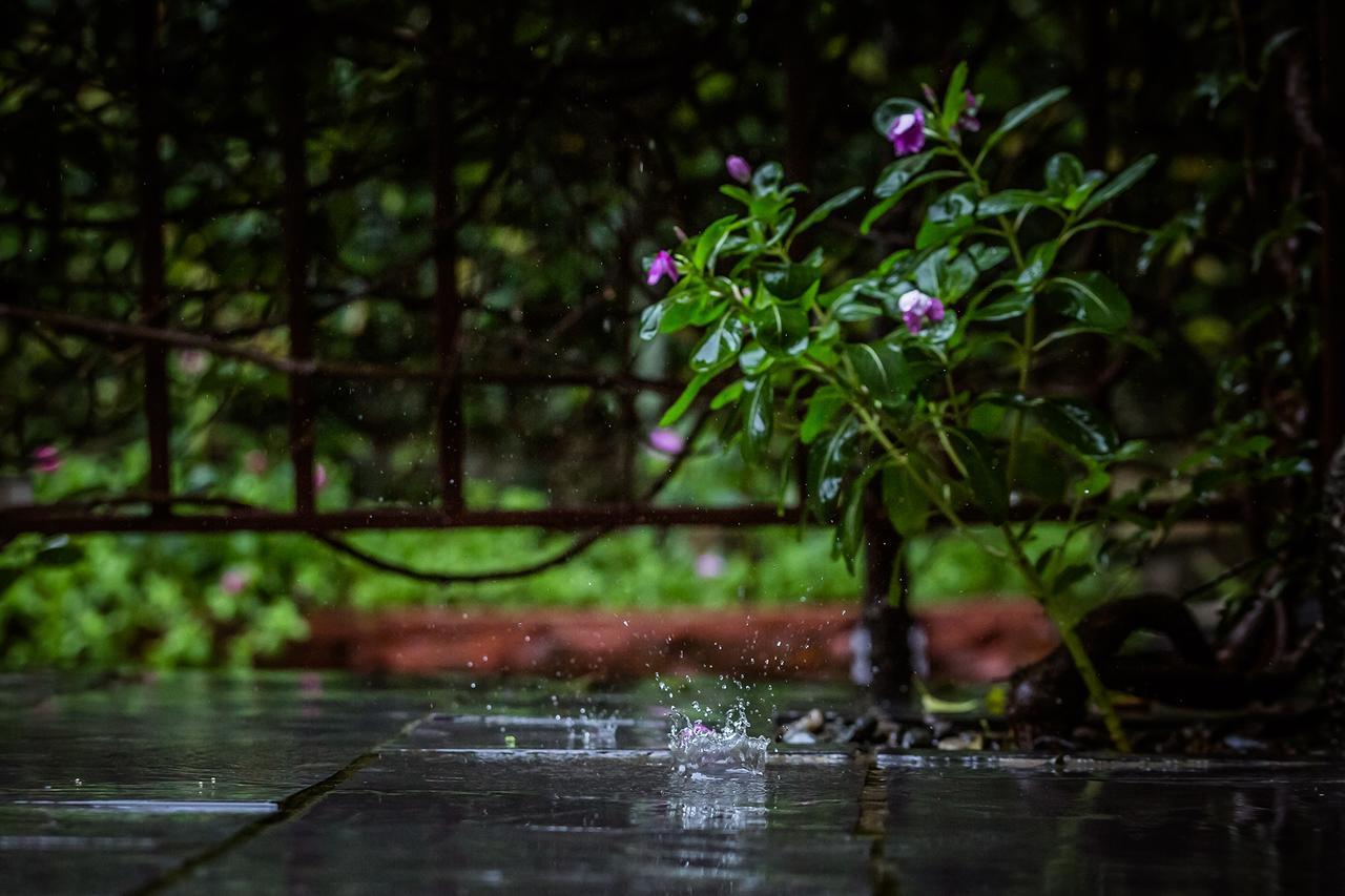 Mingtang Garden Cottage 名堂花园度假屋 Покхара Экстерьер фото