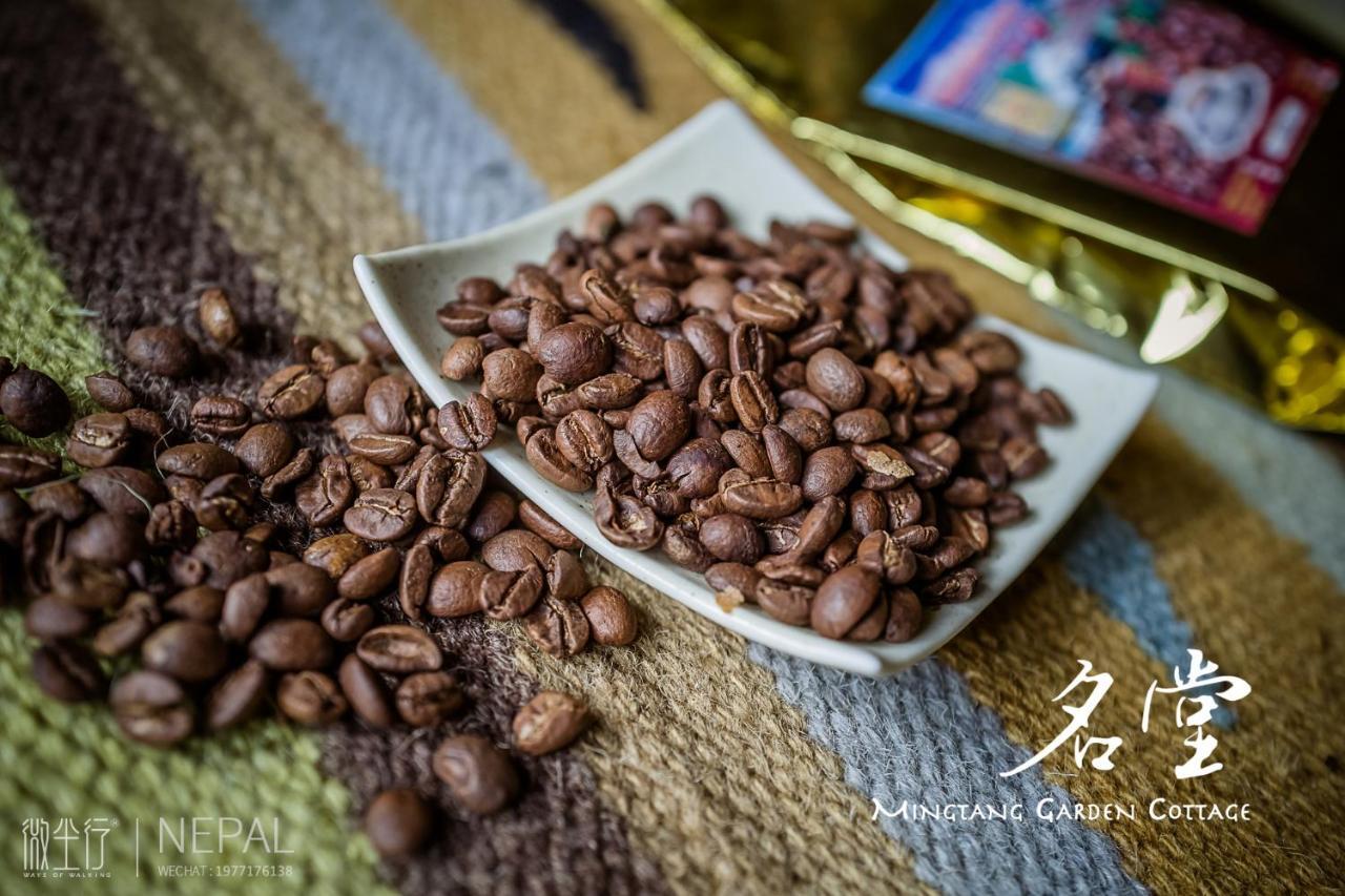Mingtang Garden Cottage 名堂花园度假屋 Покхара Экстерьер фото